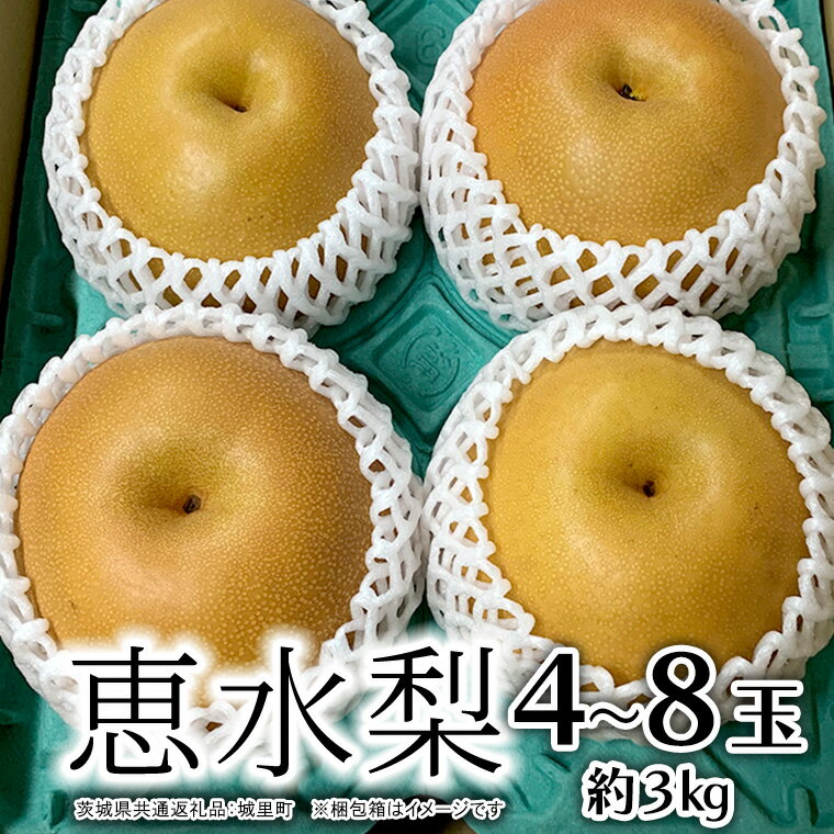 【ふるさと納税】恵水梨 約3kg 4～8玉 (茨城県共通返礼品 城里町) 2025年9月中旬から発送開始 梨 なし 和梨 フルーツ 甘い オリジナル 大玉 直送 茨城 限定