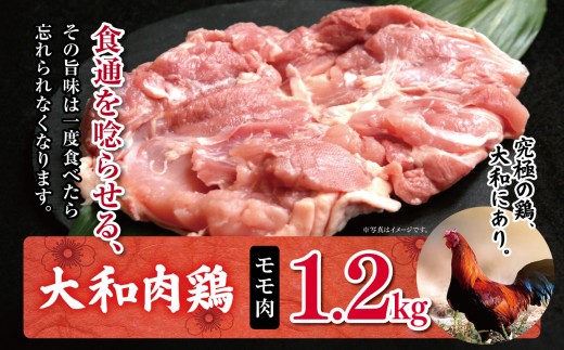 AM2 大和肉鶏 モモ肉 1.2kg | 大和かしわ 鶏 肉 にく もも かしわ 鶏肉 とり 奈良県 大淀町