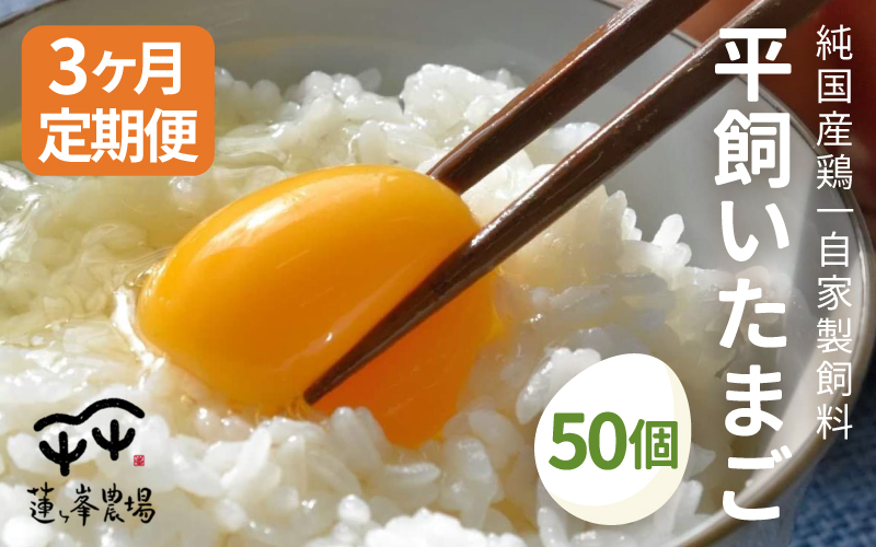 【定期便】 平飼いたまご 50個×3ヶ月間 【 卵定期便 たまご定期便 平飼い卵 非遺伝子組み換え 自家配合 たまご タマゴ 平飼い 卵 国産 純国産鶏 もみじの平飼い卵 京都奥丹波 綾部 京都 蓮ヶ峯農場 】 