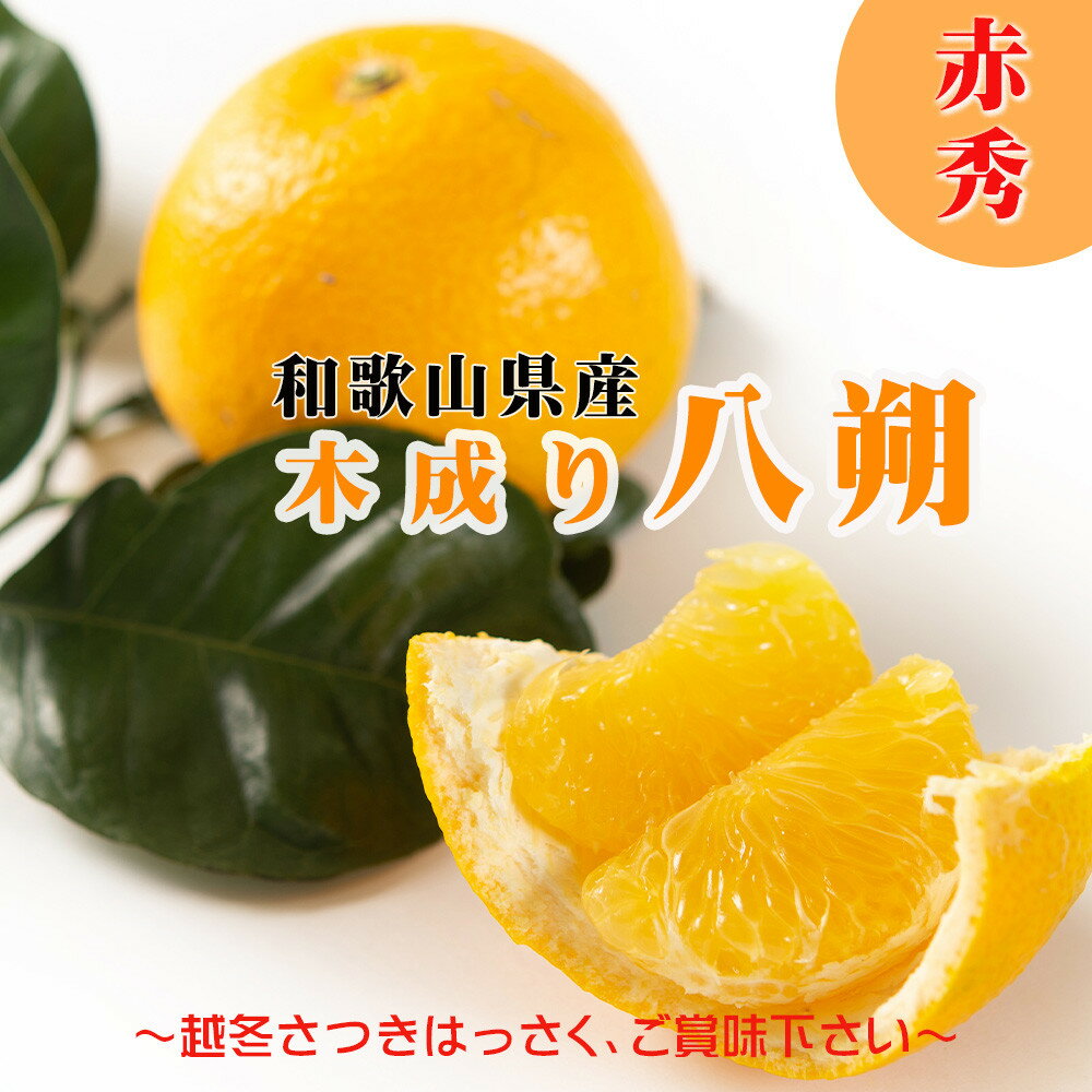 【ふるさと納税】はっさく 木成り完熟 和歌山県産 約6kg 赤秀｜まごころ産直みかん | フルーツ 果物 くだもの 食品 人気 おすすめ 送料無料 八朔 はっさく