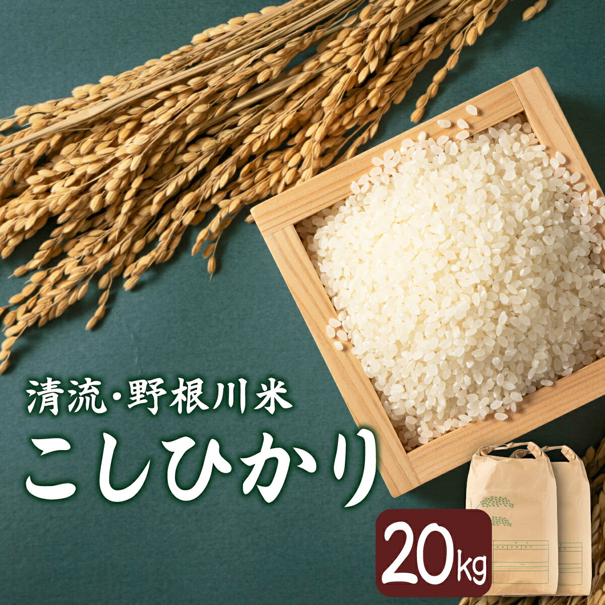 【ふるさと納税】＜8月下旬より発送開始＞野根川米20kg（10kg×2袋） こしひかり【MZ003】東洋町産 国産 米 白米 精米 コメ こめ もっちり 四国 お取り寄せ 家庭用 自宅用 贈り物 送料無料