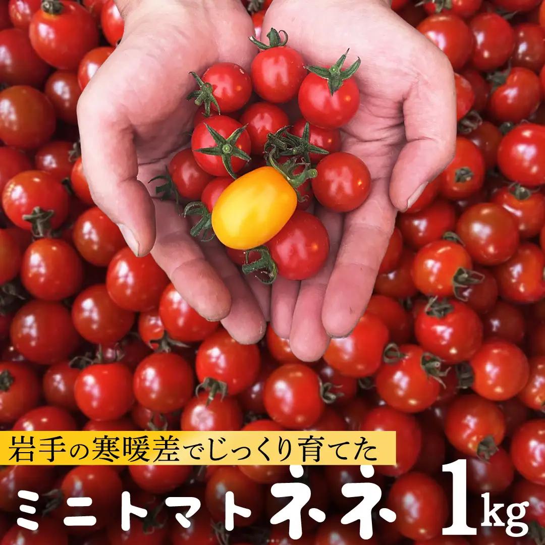 【ふるなびWEEK対象】ミニ トマト ネネ 1kg 7月上旬から発送 (FF002) トマト