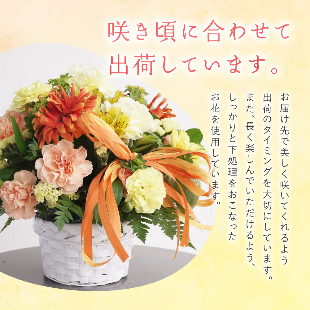 季節のフラワーアレンジメントM 【お任せ(ランダム)】 |  花 フラワー 四季 ギフト プレゼント 北海道 石狩市
