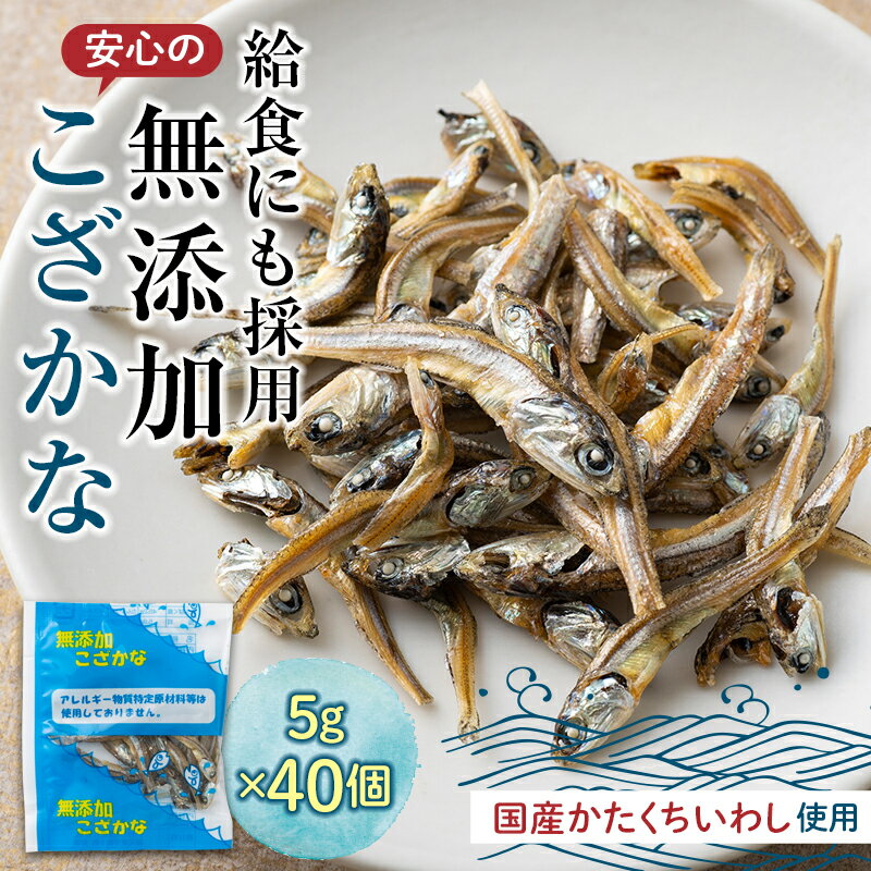 【ふるさと納税】給食使用で安心の無添加こざかな おやつ カルシウム いわし 骨 プレママ こども F21K-218