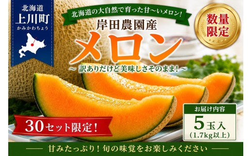 
                  ★2027年初取り★ 岸田農園産 北海道メロン 5玉入り(サイズ:1.7kg以上)【20セット限定】【 果物 メロン フルーツ 北海道 上川町 岸田農園 甘いジューシー 季節限定 甘みたっぷり メロンギフト 産地直送 くだもの 】
                