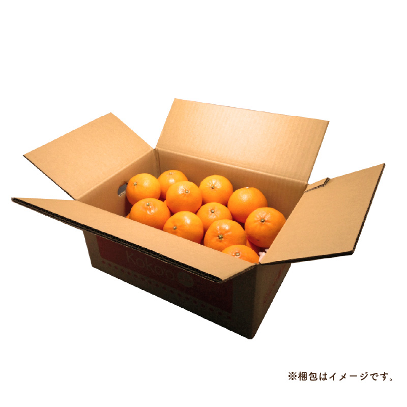 【2026年12月中旬頃から順次発送】 瀬戸内海の島みかん (秀品)【石地みかん】約5kg | 柑橘 みかん 密柑 オレンジ フルーツ 果物 愛媛県 松山市 ココオ Koko'o