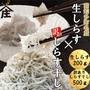 生しらす 200g 訳あり しらす干し 500g セット 冷凍 刺身 しらすしらすしらすしらす 山庄