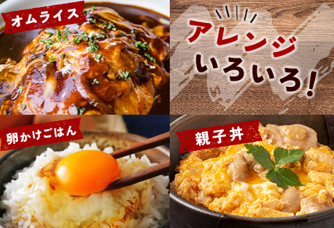 ＜配送開始月が選べる!!＞児湯養鶏自慢の卵 ネッカリッチ赤たまご「児湯一番」 計480個 （20個入×2箱）×12か月定期便 生活応援 ※2027年1月配送開始【E19-2701】 2027年1月配送