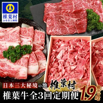 ふるさと納税 椎葉村 【 定期便 3回 】 総重量 1,900g 牛肉 椎葉牛の スライス肉 &amp; 切り落とし肉 定期便