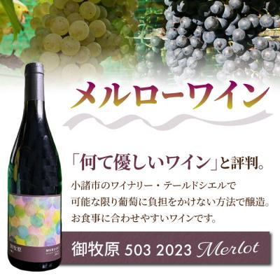 ふるさと納税 東御市 【御牧原(みまきはら)おいしい農園】御牧原セットA(シャインマスカット1kgとメルローワイン1本) |  | 02