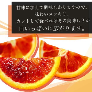 【先行予約】 家庭用 ブラッド オレンジ 5kg 紀州有田産 希少な柑橘フルーツ!