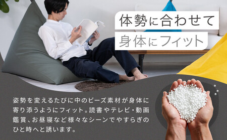 【大東寝具】tetra 8号帆布（ビッグサイズ）【ビーズクッション座椅子】（あずき）