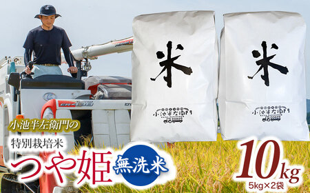 数量限定 【令和7年産】 山形県庄内産 小池半左衛門のお米 特別栽培米 つや姫 無洗米 10kg (5kg×2袋)