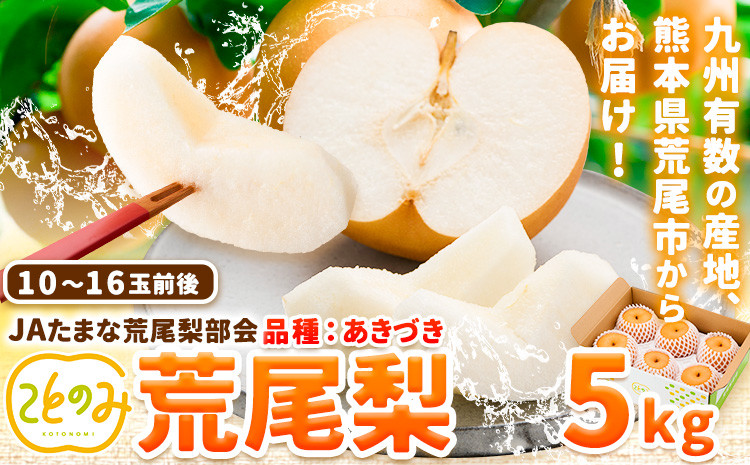 
            先行予約 梨 秀品 荒尾梨 新ブランド(愛称) 「ことのみ」 あきづき 5kg フルーツ 果物 旬 贈答 ギフト 《9月上旬-9月中旬頃出荷》熊本県荒尾市産含む JAたまな荒尾梨部会
          
