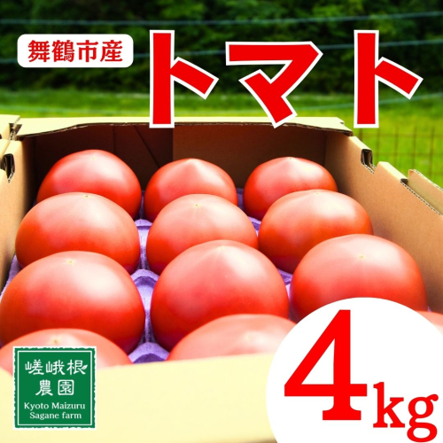 トマト 4kg 化粧箱入 農家直送 野菜 夏野菜 新鮮 鮮度 抜群 大玉トマト 完熟トマト 評判 好評 人気 濃厚 とまと リコピン ハウス栽培 京都 舞鶴 嵯峨根農園