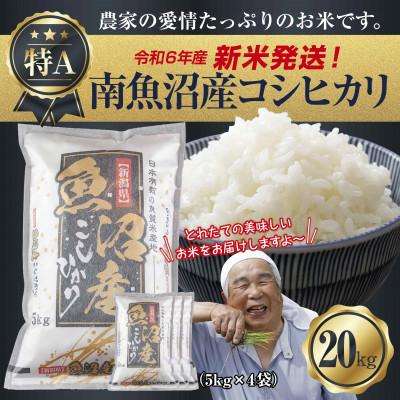 ふるさと納税 南魚沼市 令和6年産 新潟県 南魚沼産 コシヒカリ 20kg (美味しいお米の炊き方ガイド付) | 