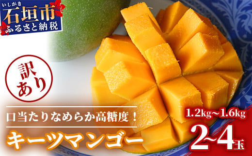 
            予約受付【訳あり】沖縄県石垣島産 キーツマンゴー 1.2kg～1.6kg【2～4玉】【口当たりがなめらかな 高糖度マンゴー】【規格外】2025年発送分
          