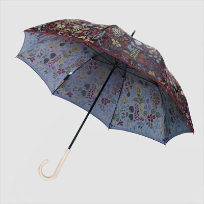 ふるさと納税 富士河口湖町 槙田商店【晴雨兼用】長傘 スティグ リンドベリ【HERBARIUM】(ハーバリウム) 赤 |  | 01