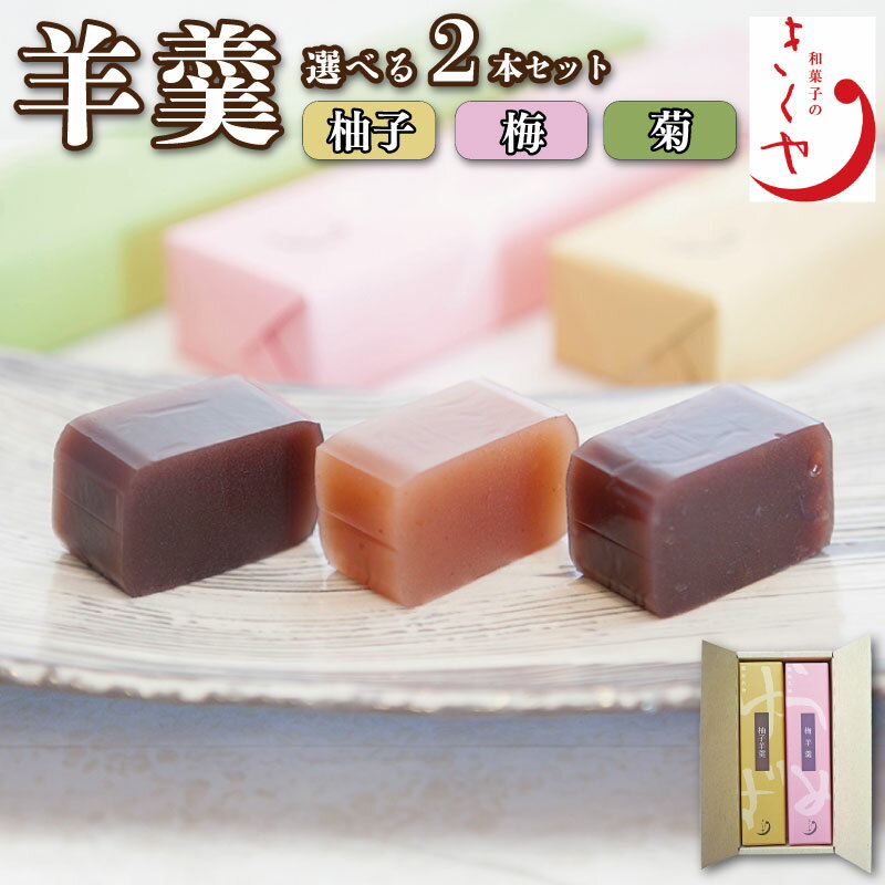 【ふるさと納税】 和菓子 羊羹 ようかん 2本 選べる 梅 柚子 セット 詰合せ あんこ 餡子 こしあん お菓子 デザート スイーツ 小豆 茶菓子 お茶請け ギフト 贈答 徳島県 吉野川市