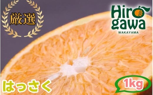 
                  はっさく 1kg+250g（痛み補償分） 厳選 光センサー【ikd021-p-1】
                