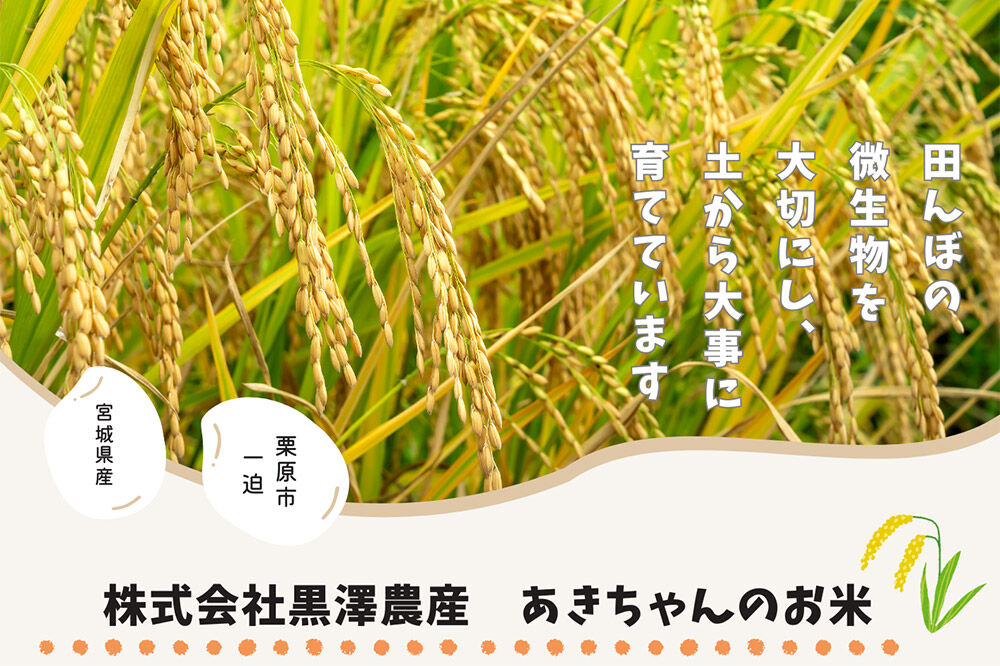 《令和8年産》【玄米】栗原市産 ひとめぼれ 30kg （30kg×1袋） ブランド米 黒澤農産 宮城県 栗原市 [ひとめぼれ 玄米 米 ブランド米 生活品 食卓 おにぎり 宮城県 栗原市 黒澤農産]