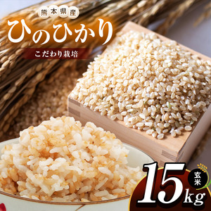 こだわり栽培 熊本県産 ひのひかり 玄米 約 15kg | お米 米 こめ コメ おこめ 熊本県 玉名市