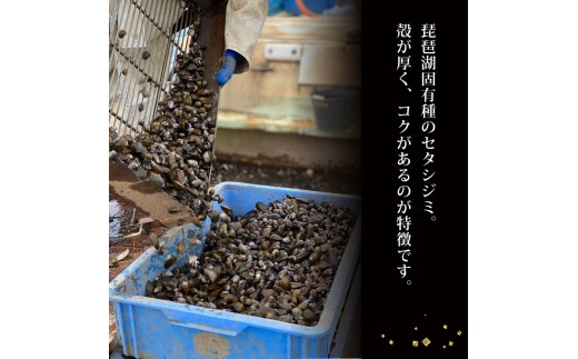 びわ湖産天然 しじみ味噌汁 10食入 味噌汁 しじみ インスタント 簡単 簡単調理 インスタント味噌汁 便利 即席 手軽 貝 魚介類 みそしる 滋賀 彦根