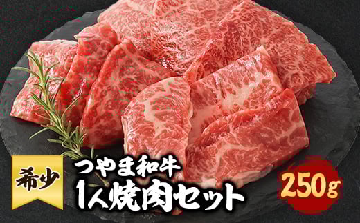 
                  つやま和牛1人焼肉セット　250g_肉 国産 和牛 つやま和牛 焼肉 焼き肉 やきにく 1人焼肉 焼肉セット 250g 牛肉 牛 にく ニク もも ロース バラ 岡山県 津山市 冷凍 送料無料【1400914】
                