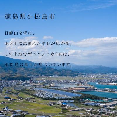 ふるさと納税 小松島市 【2026年8月下旬順次発送】令和8年産 新米コシヒカリ 10kg 白米 数量限定 小松島市 |  | 01