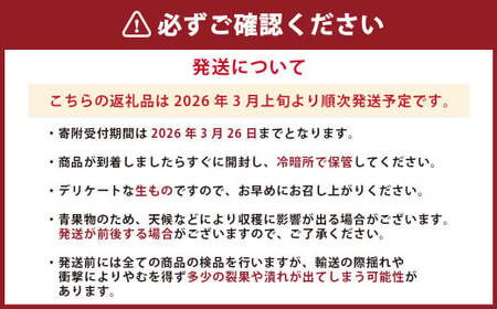 熊本県産 デコポン 3kg 果物 フルーツ くだもの 柑橘 みかん 蜜柑 【2026年3月上旬発送開始】