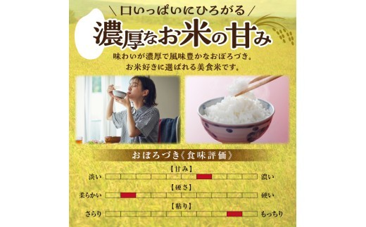 新米 令和8年産 10月下旬より発送 川越さんちの おぼろづき 5kg×1袋 R8U009-003