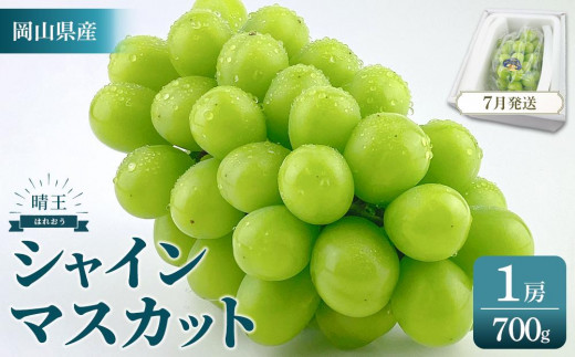 2026年予約受付中 シャインマスカット 晴王 1房 約700g 7月～8月にお届け  | フルーツ 果物 くだもの 葡萄 ブドウ ぶどう シャインマスカット マスカット 晴王 ギフト 贈答用 プレゼント 岡山 岡山県産 国産 フルーツ 果物 くだもの シャインマスカット マスカット おすすめ 人気 種無し 皮ごと食べる みずみずしい7月～8月にお届け フレッシュ 温室栽培 晴れの国おかやま 果物大国 彩美菜果