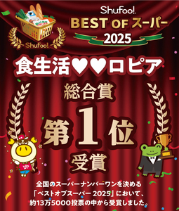 ＜12月限定容量＞ ロピア 国産牛100％！肉のロピア特製 ステーキハンバーグ (タネ：1240g) 牛肉 ロピア LOPIA 味付け 惣菜 おかず 冷凍 焼くだけ タネ ＜離島配送不可＞【ksg18