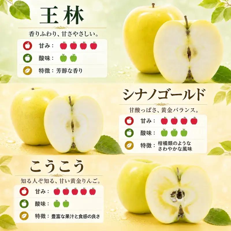先行予約 年明け発送 訳あり りんご 5kg品種2種以上詰め合わせ りんご 期間限定 藤与果樹園fujiyo005st