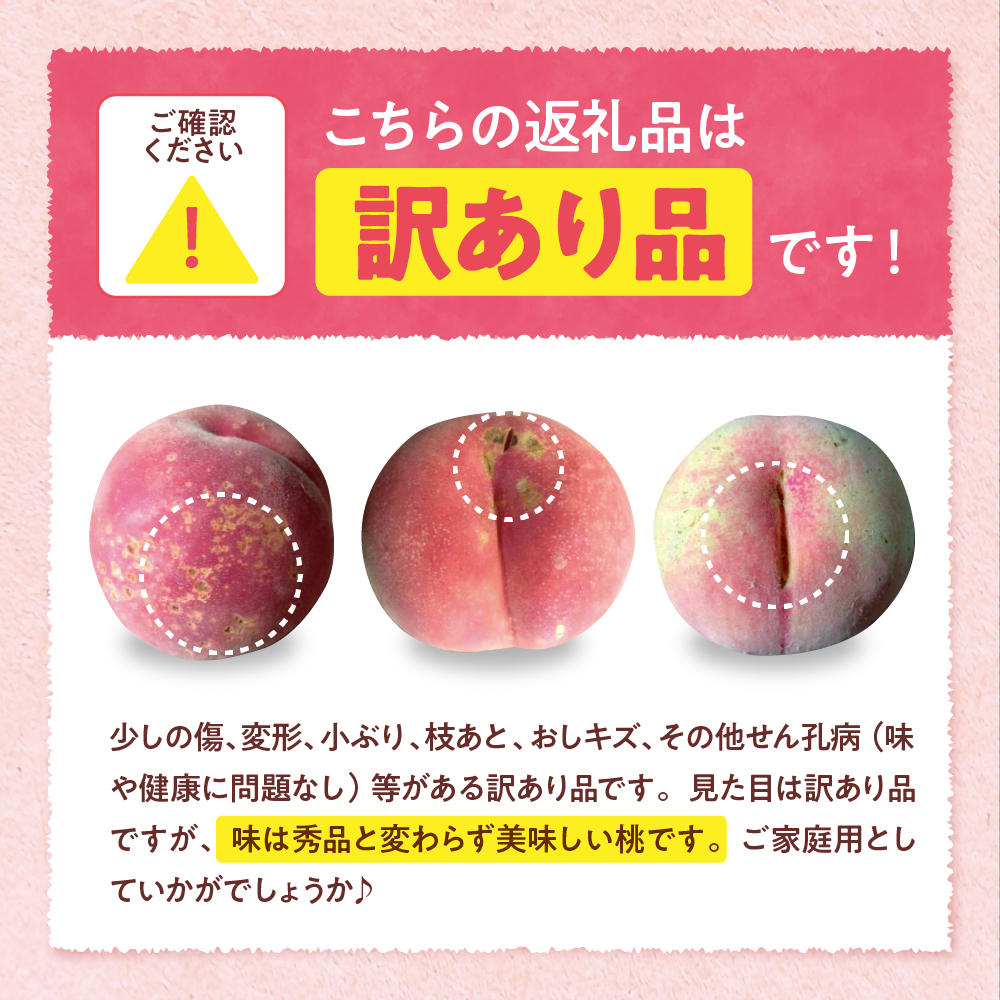 【2025年産　先行予約】白桃 品種おまかせ 訳あり2kg(やわらかめ) 山形県 東根市　hi004-hi062-024-2_イメージ2