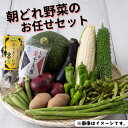 【ふるさと納税】【32001】朝採れ岩美の野菜おまかせセット｜鳥取県 岩美町 野菜 詰合せ 新鮮 セット 朝どれ やさい