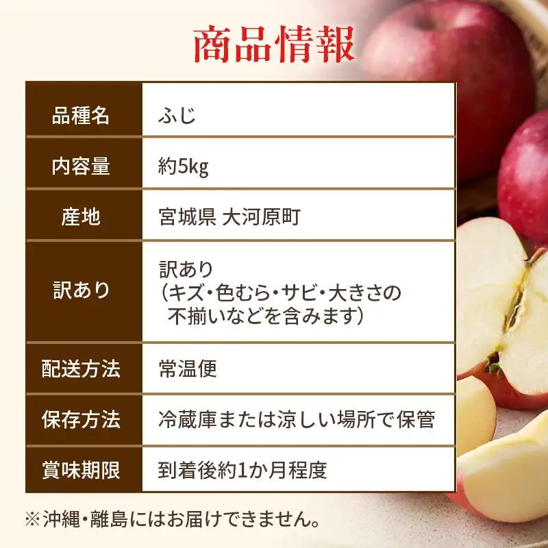 りんご ふじ 訳あり 5kg 果物 フルーツ わけあり 不揃い 規格外 ご家庭用 宮城県 大河原町 産地直送 林檎 リンゴ くだもの 先行予約 送料無料