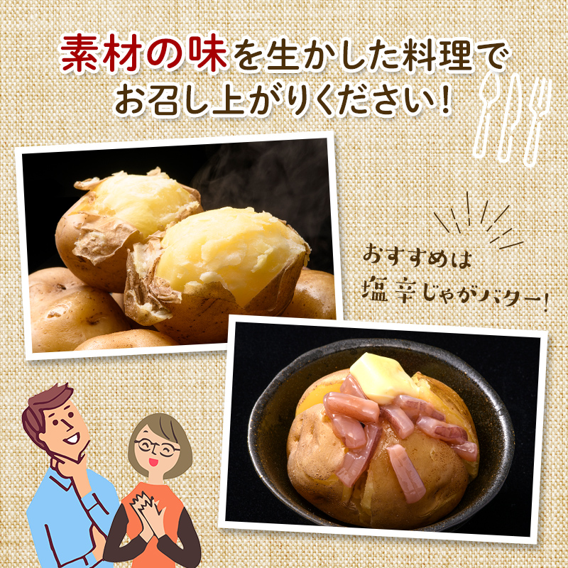 北海道今金町産男爵いも 約10kg 【10月下旬以降順次出荷】 じゃがいも 男爵 だんしゃく 芋 いも イモ ほくほく しっとり 常備野菜 北海道産 F21W-335