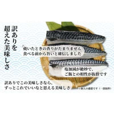 ふるさと納税 銚子市 【訳あり】塩鯖(冷凍)3kg　銚子東洋のフィレ　規格外 |  | 02