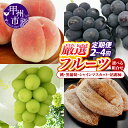 【ふるさと納税】 選べる 定期便 フルーツ 2回 3回 4回 桃 約2kg 大玉 5～7玉 黒葡萄 1kg以上 2房 シャインマスカット 1kg以上 2房 枯露柿 S～M 8～12個 大人気 厳選 甲州市産 2025年度発送 期間限定 数量限定 山梨 甲州市 果物 もも ぶどう 果実 贈答 ギフト 家庭用 （IS）