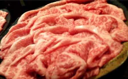 【3回定期便】【最高峰】長崎和牛 霜降り もも肉 400g サガリ肉 300g 西京噌漬け / 南島原市 / はなぶさ[SCN082]