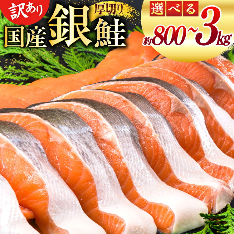 【ふるさと納税】 訳あり 国産 減塩 厚切り 塩銀鮭 切身【選べる内容量】800g / 3kg [足利本店 宮城県 気仙沼市 20565754] サーモン 鮭 さけ サケ シャケ 魚 海鮮 魚介 甘塩味 規格外 不揃い 鮭切身 切り身 個包装 家庭用 訳アリ 塩分控えめ 冷凍