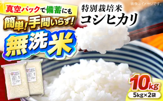 【先行予約】【9月中旬から順次発送】特別栽培米 コシヒカリ 真空パック 白米（ 無洗米 ） 10kg （ 5kg × 2袋 ）  お米 こしひかり ご飯 コシヒカリ おこめ 三次市/小川モータース [APCH003]