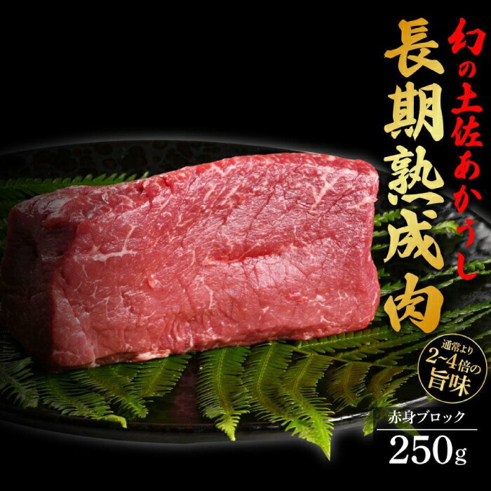 【ふるさと納税】エイジング工法 熟成肉 土佐あかうし 特選赤身 ブロック 約250g (冷凍) 【株式会社LATERAL】[ATAY052]