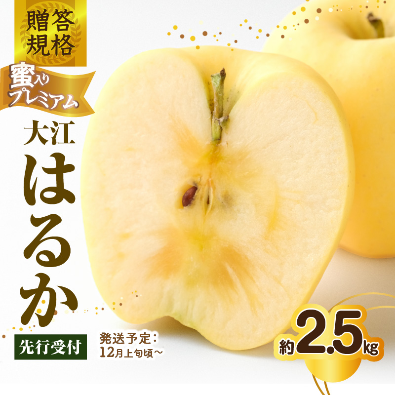 《先行受付》贈答規格 蜜入りプレミアム大江はるか約2.5kg 特秀～秀【2026年12月上旬～発送予定】【大江町産・山形りんご・りんご専科 清野】