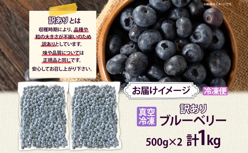 北海道 訳あり ブルーベリー 500g 2袋 計1kg 果物 果実 フルーツ 新鮮 国産 ベリー 農作物 お取り寄せ グルメ ギフト 冷凍 長期 保存 とうやMarche マルシェ 