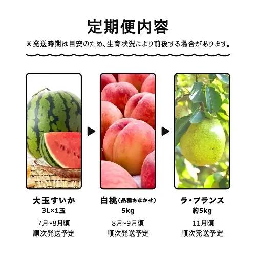 令和8年産 フルーツ定期便 全3回 大玉すいか もも 桃 ラ・フランス 洋梨 ja-ftsml3-b