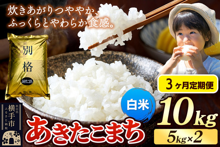 《令和7年産》《定期便3ヶ月》 米 あきたこまち 10kg（5kg×2袋） 【白米】 秋田県産