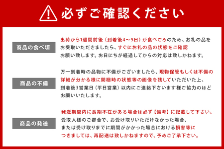 【数量限定・期間限定】 おみたまレノンメロン 赤肉 約5kg 4玉～6玉 メロン 秀品 めろん 果物 フルーツ 茨城県産 52-B 【4月20日まで受付・4月～5月上旬順次発送予定】