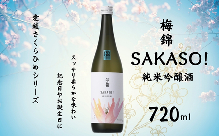 愛媛さくらひめシリーズ　タイプ別1本　（TYPE-2)｜B271